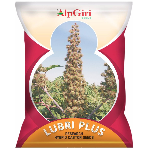 Hybrid castor Lubri Plus