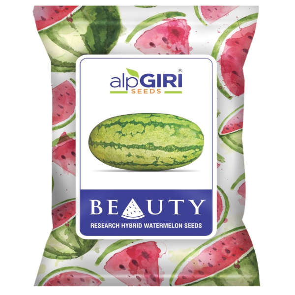 Hybrid Water Melon Beauty"