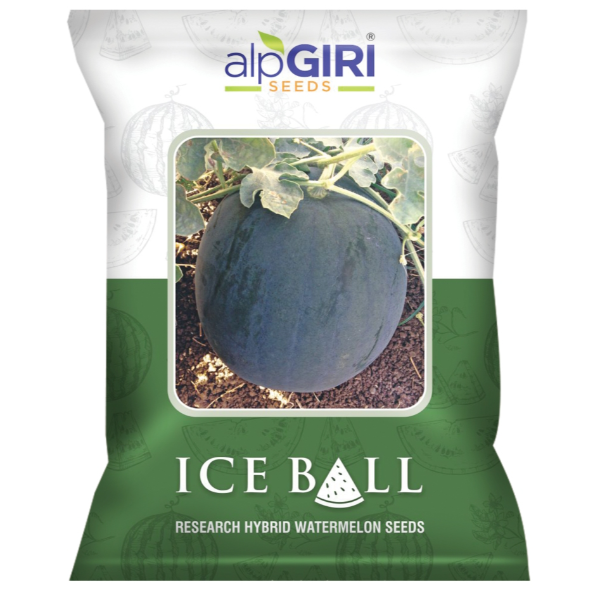 Hybrid Water Melon Ice Ball