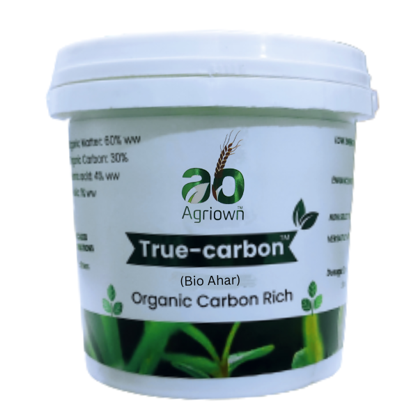 True Carbon