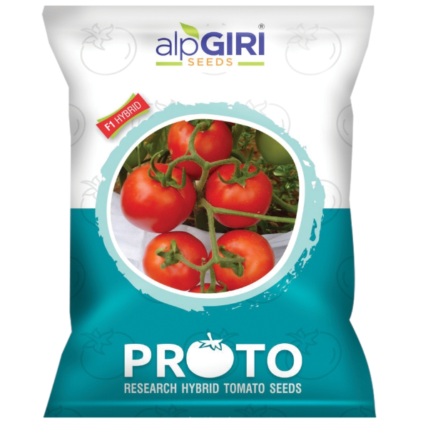 Hybrid Tomato  Proto